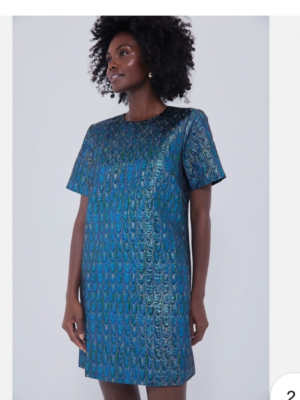 Tuckernuck Pomander Place Pavo Jacquard Mae Dress S NWT